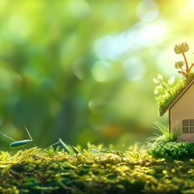 eco-friendly mountain living tips