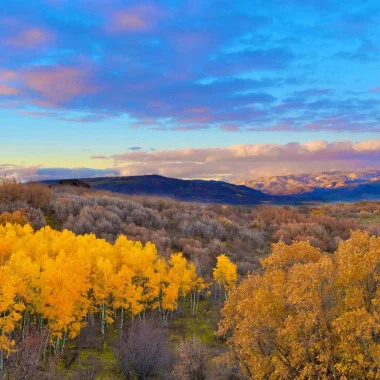 Things to do in Hayden Colorado