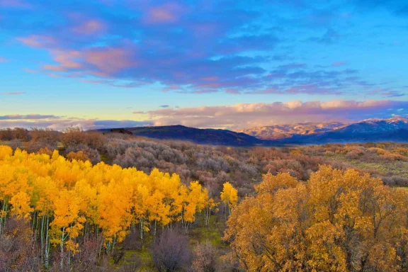 Things to do in Hayden Colorado