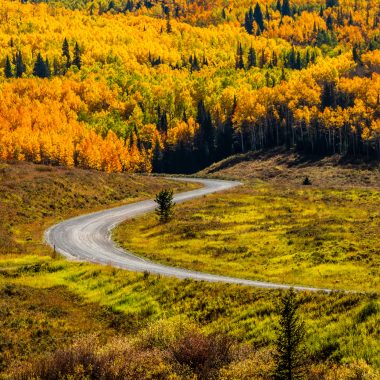 Instagrammable fall photo spots in Steamboat Springs