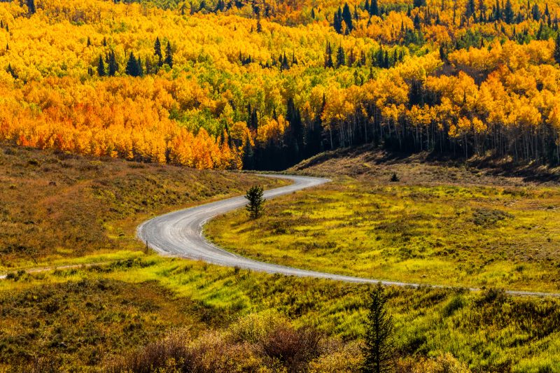 Instagrammable fall photo spots in Steamboat Springs