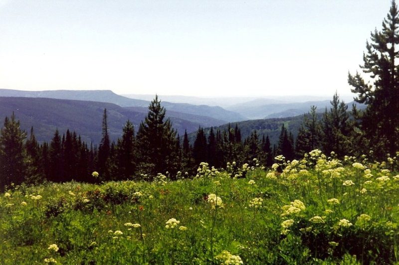Things to Do in South Routt Colorado