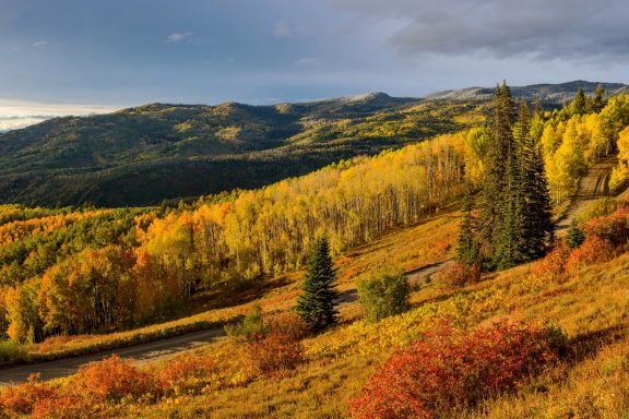 Things To Do In West Steamboat And US-40 Colorado