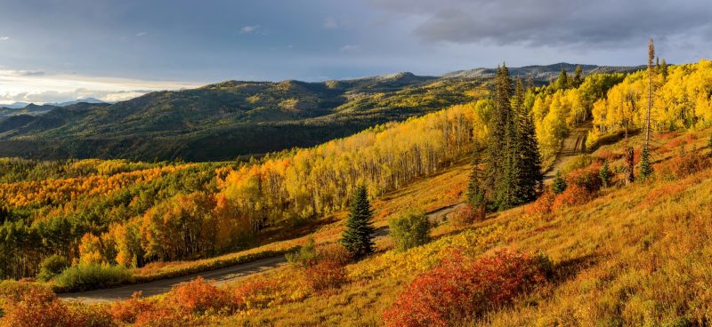 Things To Do In West Steamboat And US-40 Colorado
