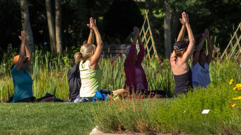 May 2026 Events in Steamboat Springs