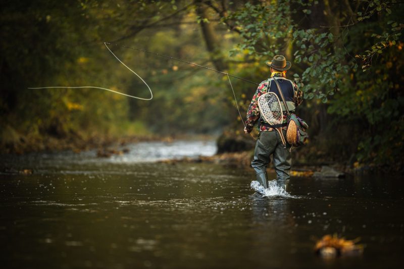 Best Fly Fishing In Steamboat Springs 2026