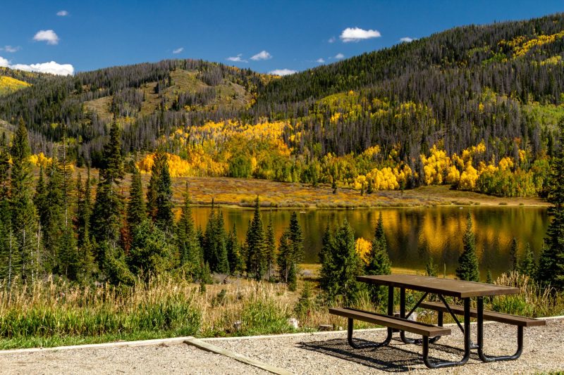 Best Picnic Spots In Steamboat Springs 2026