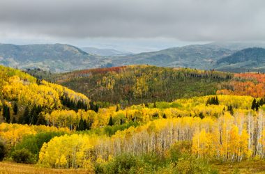 Downsizing To Steamboat Springs For Retirement 2026