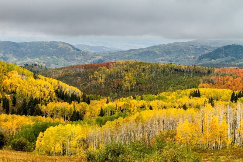 Downsizing To Steamboat Springs For Retirement 2026